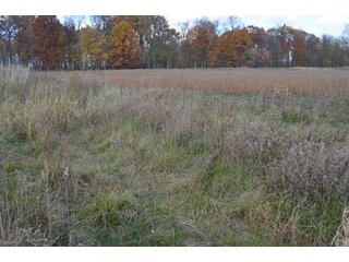 Property photo 12 - 127 Acres Offered in 8 Tracts - Allen & Dekalb County Land